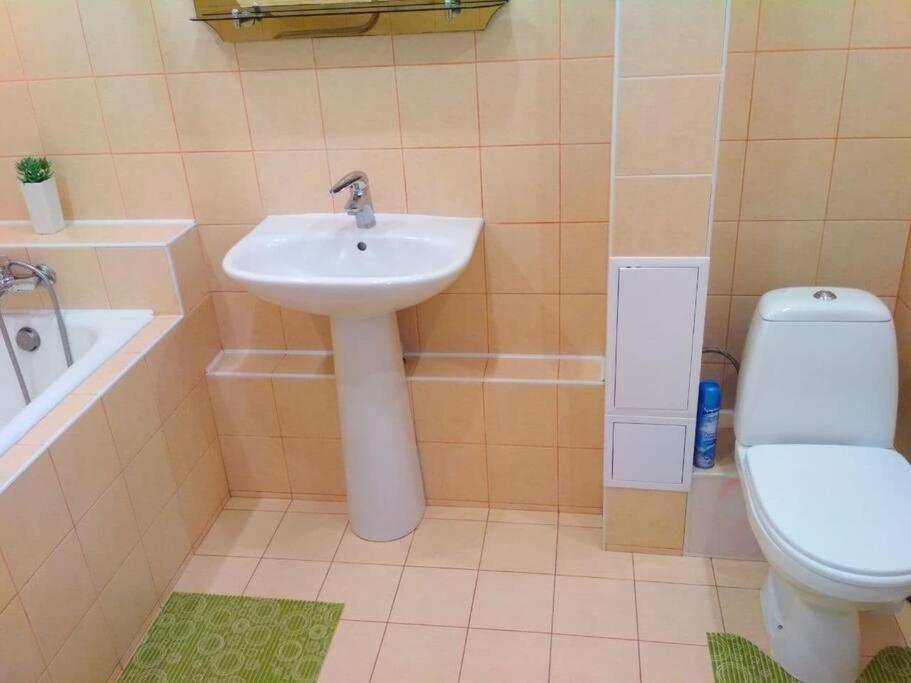 уютная метро харьковская 3 мин, паспорт-сервис, аэропорт борисполь Apartment Kyiv